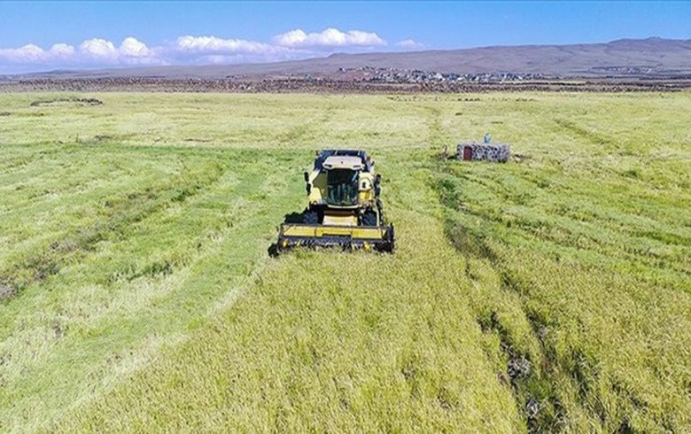 Çiftçilere bugün yaklaşık 985,9 milyon lira tarımsal destekleme ödemesi yapılacak